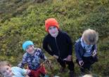 IMG_2046 (1280x853).jpg (122740 bytes)